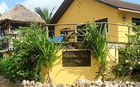 Crooкed Tree Lodge Belize